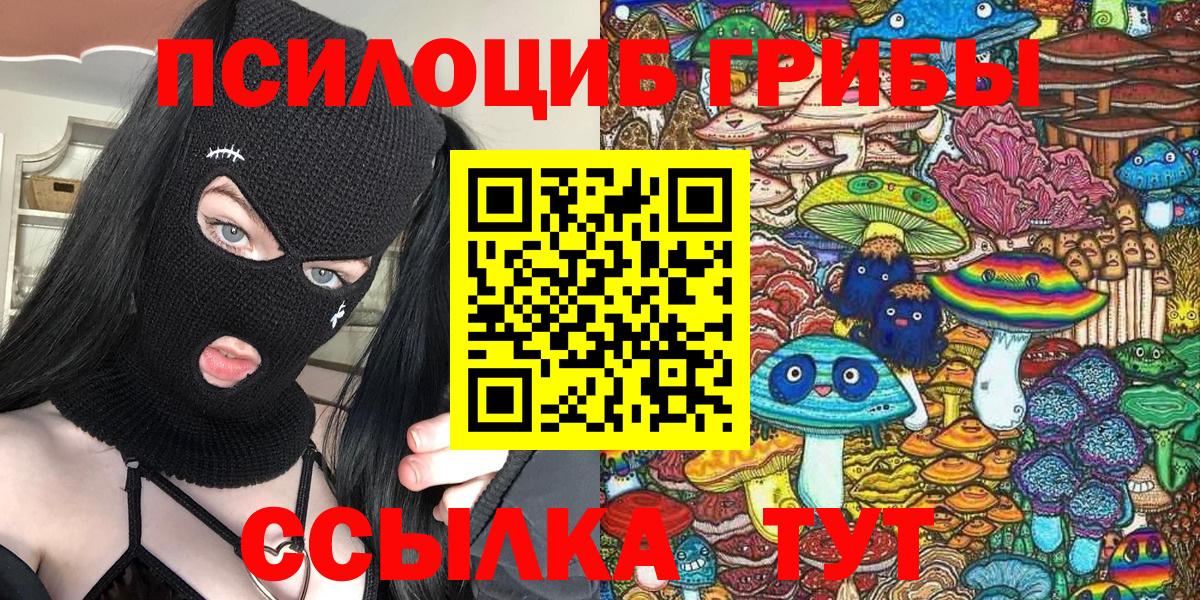 Псилоцибиновые грибы Cubensis Мегион