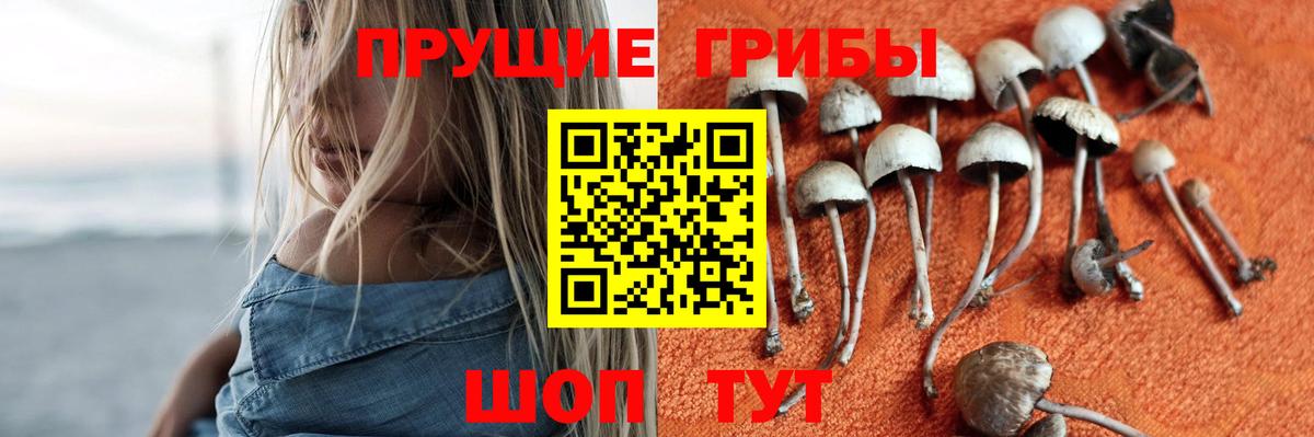 Псилоцибиновые грибы Psilocybine cubensis  Вход с VPN  Мегион  Галлюциногенные грибы Psilocybe 